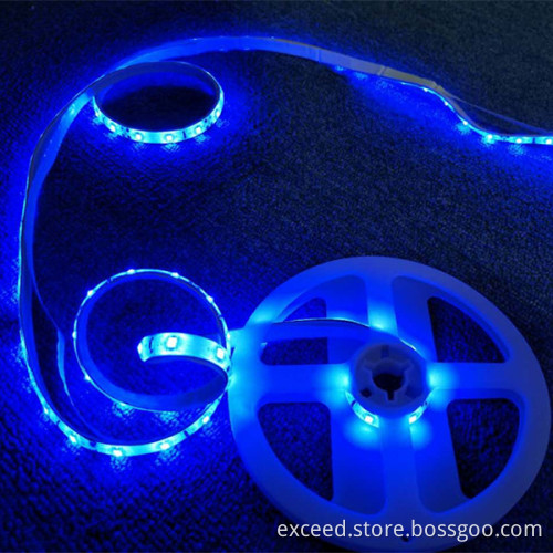 Double Intelligent led Sensor Bed Light
